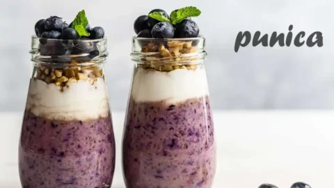 فطور بذور الشيا